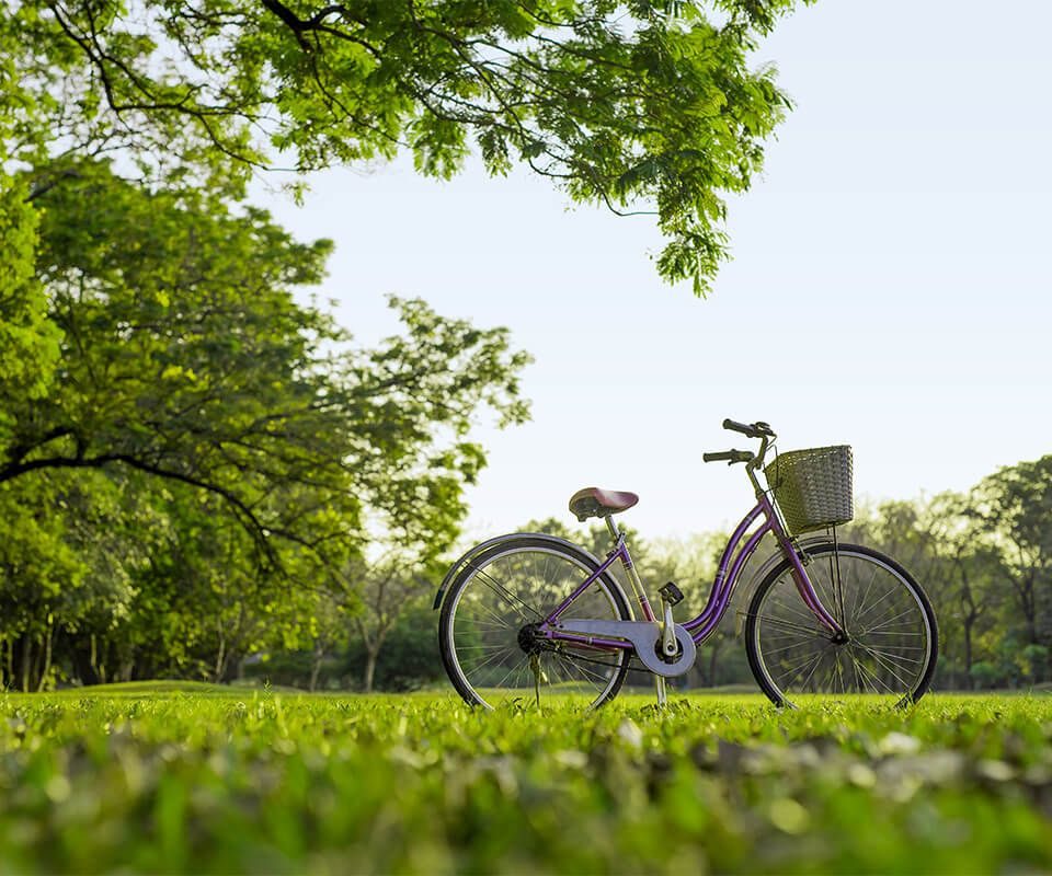 森氧視界 靜謐綠心